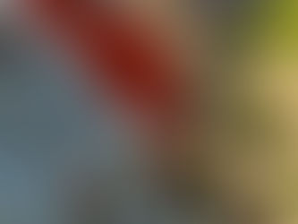 Jaguariúna recebe um dos maiores encontros de carros antigos de São Paulo