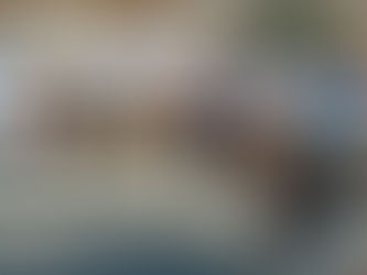 Jaguariúna pode ser reconhecida como "Capital Country do Brasil"; projetos em pauta