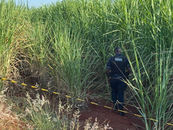Motoboy encontra corpo de homem desaparecido na última sexta-feira