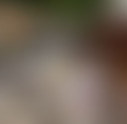 Descarte irregular de entulho pode gerar multa de até R$ 3,3 mil em Jaguariúna