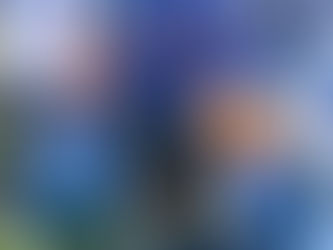 Fêmea de lobo-guará é resgatada após atropelamento na SP-340, em Jaguariúna