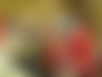   ふるさとなかやまたより　8月号が発行されました