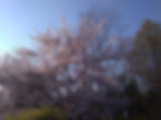 投稿：福田様