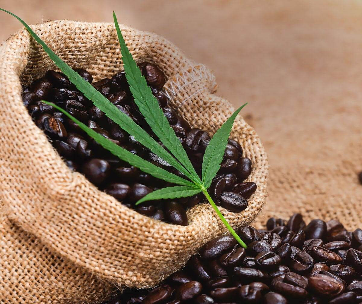 CBD Coffee - No THC