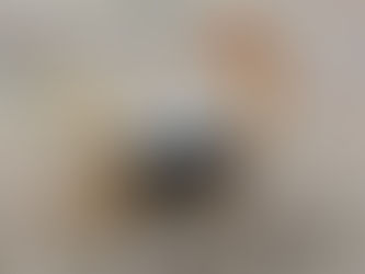 SÉRIE PRAGAS URBANAS: Escorpiões