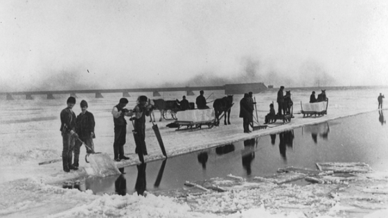 The Ice Cutters and the Executive Floor