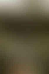 John C. Rudy Park senior pictures