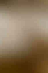 wedding at historic shady lane in york, pa