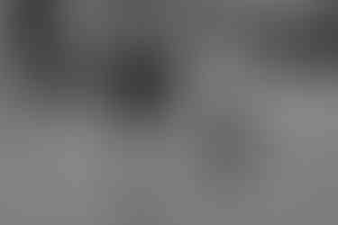 couple in garden for engagement pictures