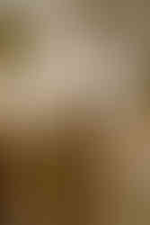 wedding reception with guests