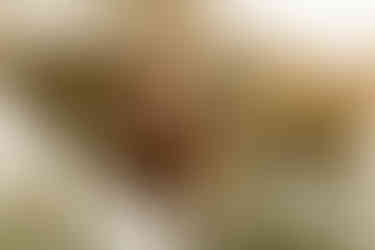 garden, terra farms, senior pictures