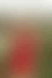 John C. Rudy Park senior pictures