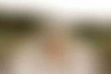 couple in garden for engagement pictures