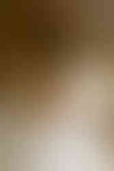 wedding at historic shady lane in york, pa