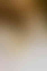 wedding at historic shady lane in york, pa