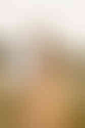 wildflower field, wildflower field pictures, wildflower field engagement pictures