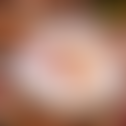 Set the Perfect Thanksgiving Table