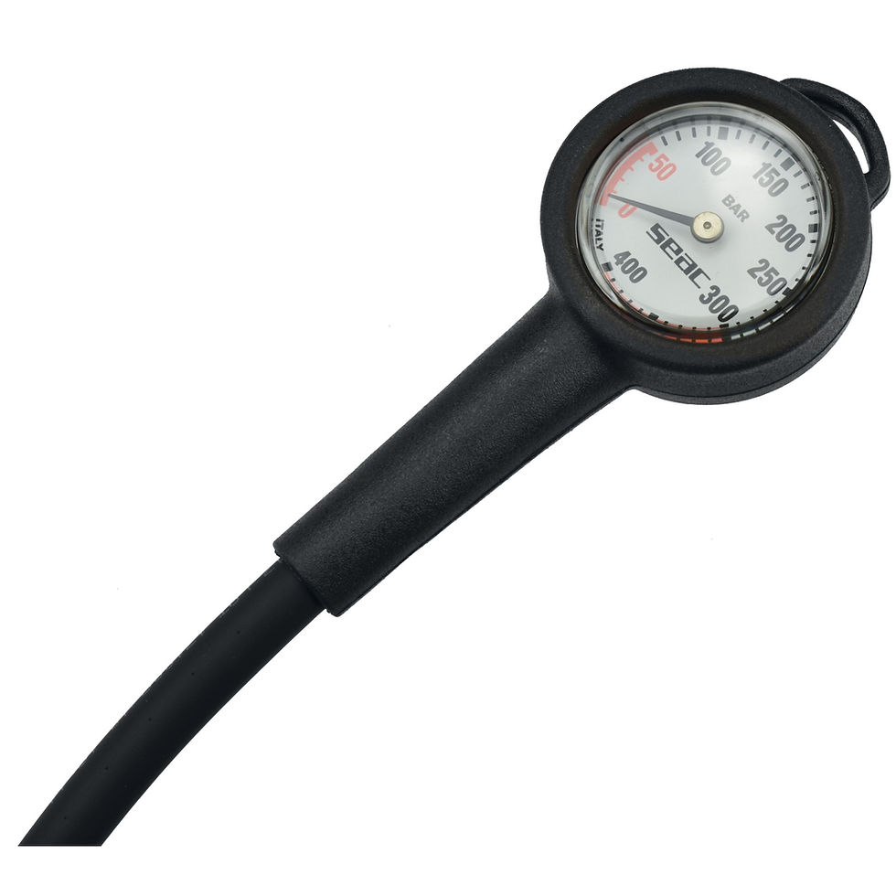 Thumbnail: SEAC Pressure gauge - BAR