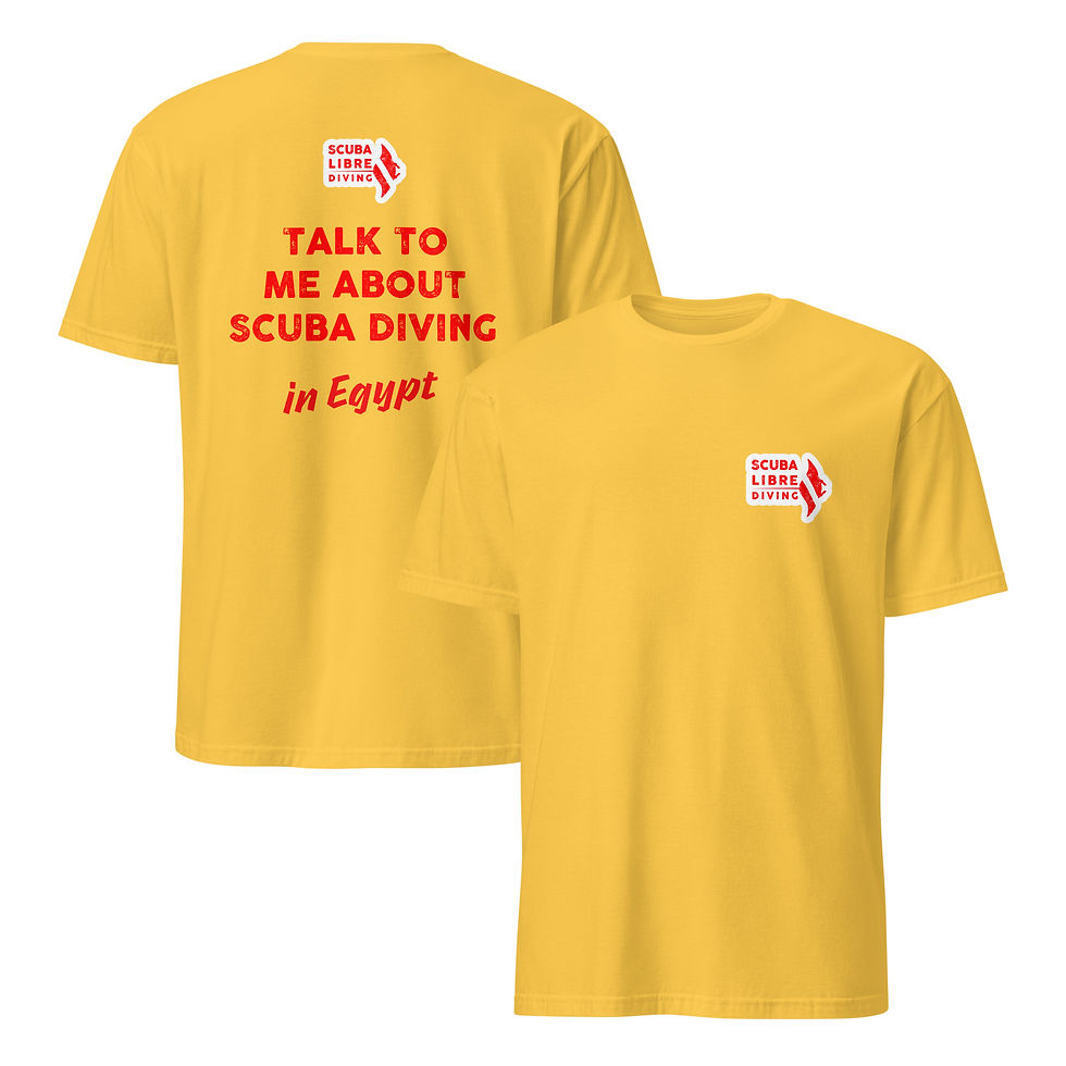 Thumbnail: Talk to me - Egypt (cotton)