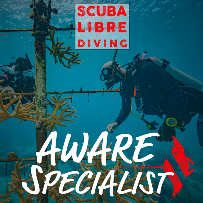 PADI AWARE SPECIALIST