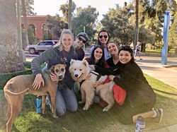 27657591_1527652574000007_20670096650658