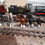 Thumbnail: O gauge Shire Horse # 3, with front leg up Hand Painted 3D Resin product 
