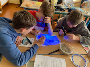 Ein MEER an Verantwortung