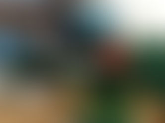 Eine Reise durch die Vielfalt des Vernetzten Unterrichts