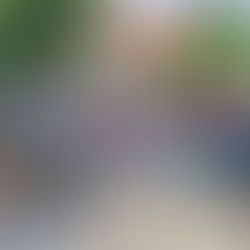 Ein Fest für unseren Wald