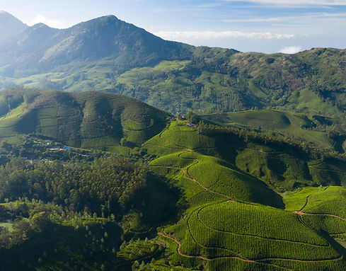 COOL KHANGCHENDZONGHA