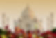 AdobeStock_67303201.jpeg