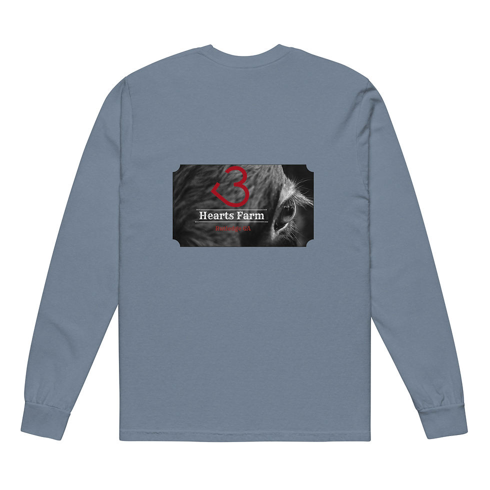 Thumbnail: Comfort Color heavyweight long-sleeve shirt