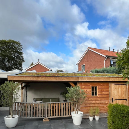 Project Delden