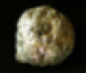 Natural Iron Pyrite Egg-1