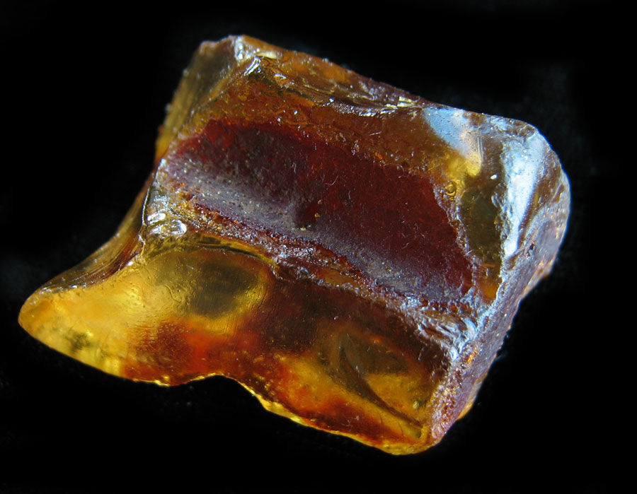 Amber Rough-6