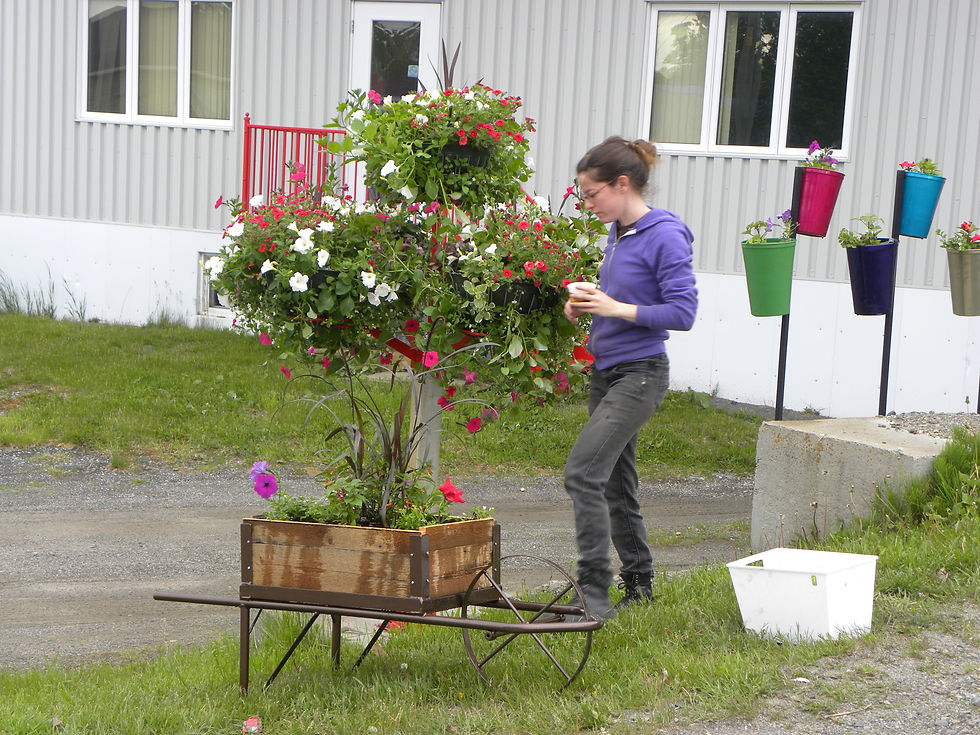 Miniature : Module à 5 jardinières