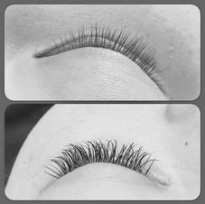 Classic Lash