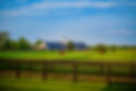 iStock-1349775910.jpg