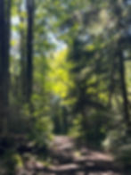 trail