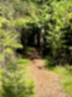 trail