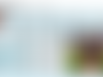 A passion for the pool