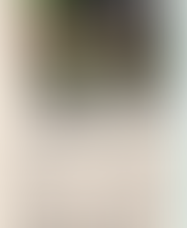 An inspiring and unifying force