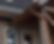 sousa roofing gutter installation copper.jpg