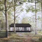 Forest House