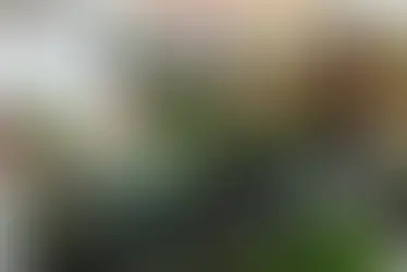 Bahia é pioneira na isenção de ICMS para produtos da cesta básica