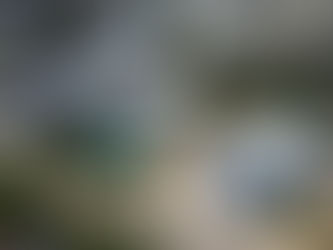 Bahia fez investimento recorde de R$ 10,2 bilhões em 2022, com prioridade para as áreas sociais