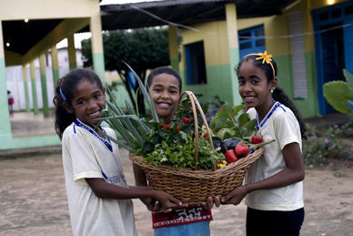 Novo Pronacampo: prazo para adesão é prorrogado até 30 de novembro