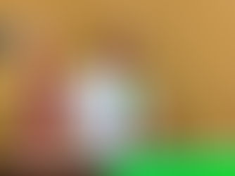 Plenária do Mandato da Gente com Neusa Cadore acontece sábado, 25, em Ipirá