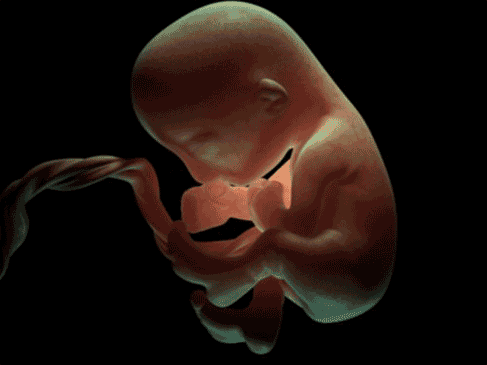 af0579c007bfad27fbb8ec8ce7f99347.gif