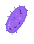 OIP (10)_edited.png